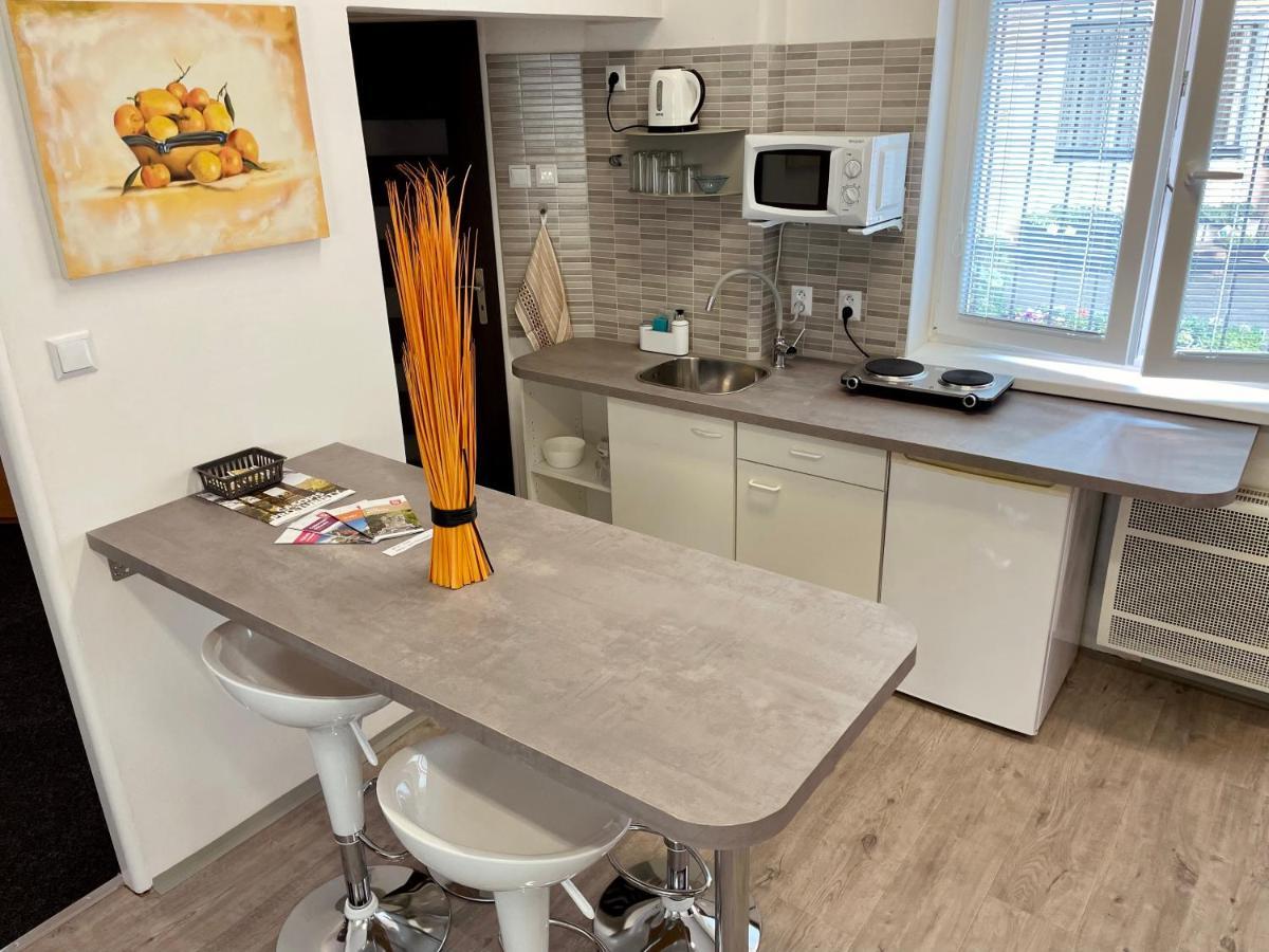 Apartament U Byvale Posty Decin Zewnętrze zdjęcie